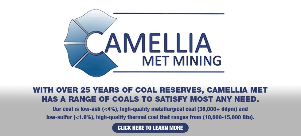 Camellia Met Mining, LLC
